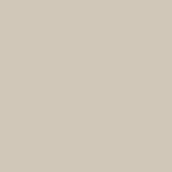 accessible beige